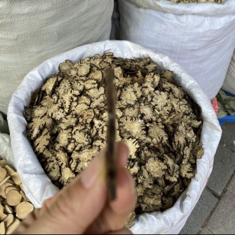 中药材川芎精选川芎片川芎粉各种规格供应袋装