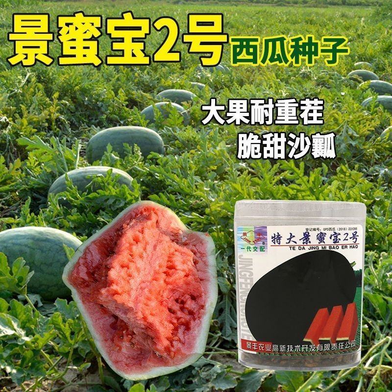 早熟黑皮红瓤西瓜种子四季超甜懒人黑皮红瓤薄皮巨形西瓜种子