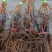各种葡萄苗木基地直发量大从优