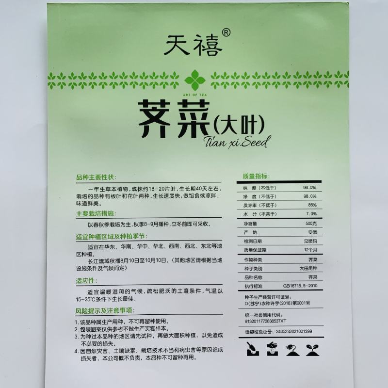 野生荠菜种子地菜种籽荠荠菜种籽秋冬四季野菜蔬菜种孑