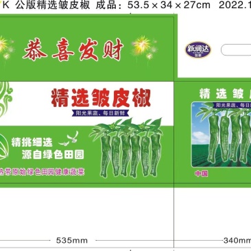 公版精选皱皮椒纸箱（7层）