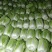 安丘优质精品矮棵黄心大白菜，便宜了，便宜了，便宜了，净菜