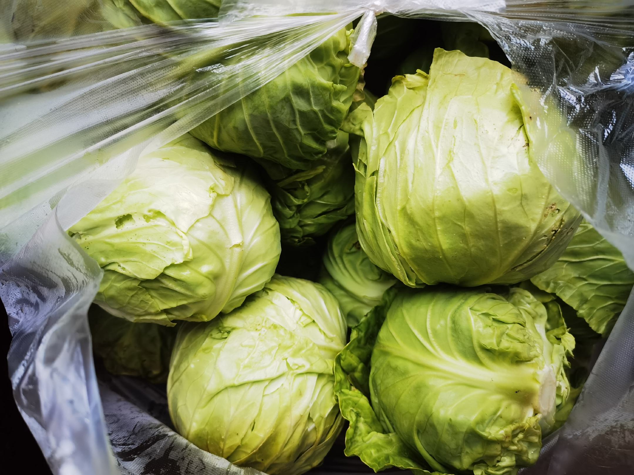 超市中用气调包装保存的生菜产品展示