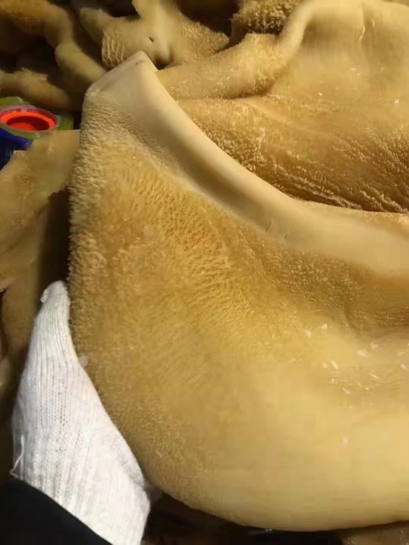 肚包肉