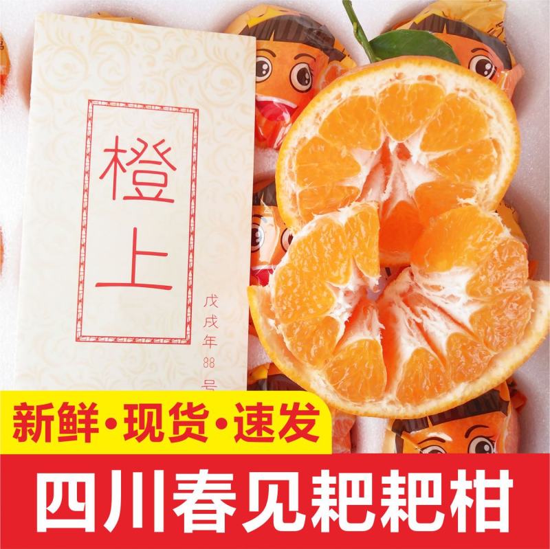 春见粑粑柑