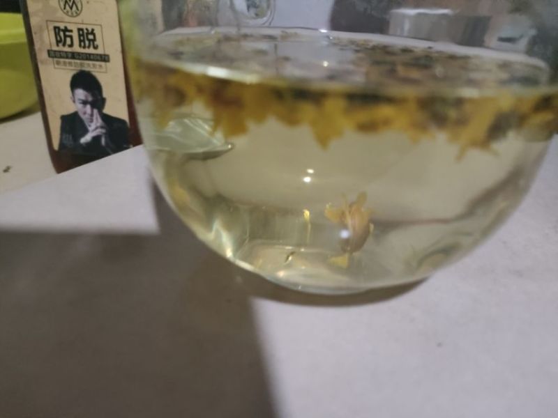 野菊花