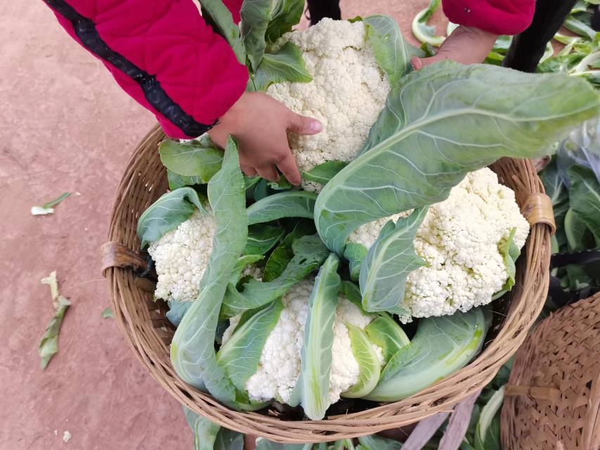 野菜与松花菜摆盘图