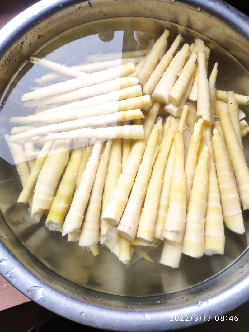 雷竹笋种苗【细叶白黄肉型】欢迎选购。