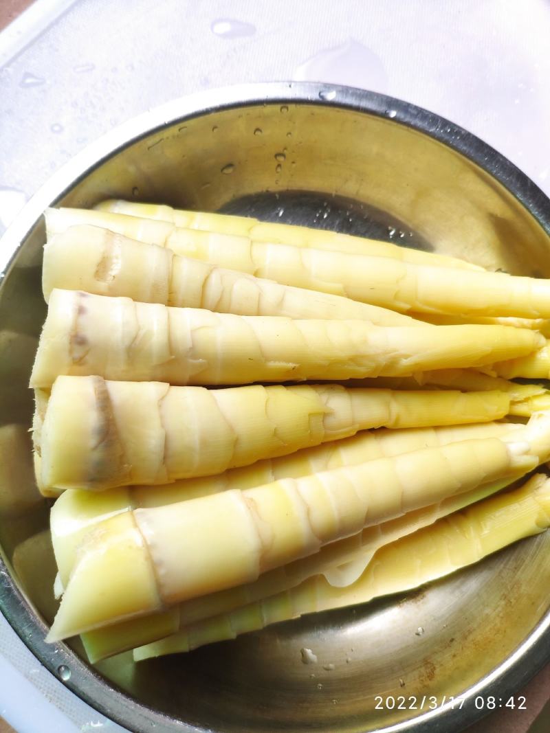 雷竹笋种苗【细叶白黄肉型】欢迎选购。