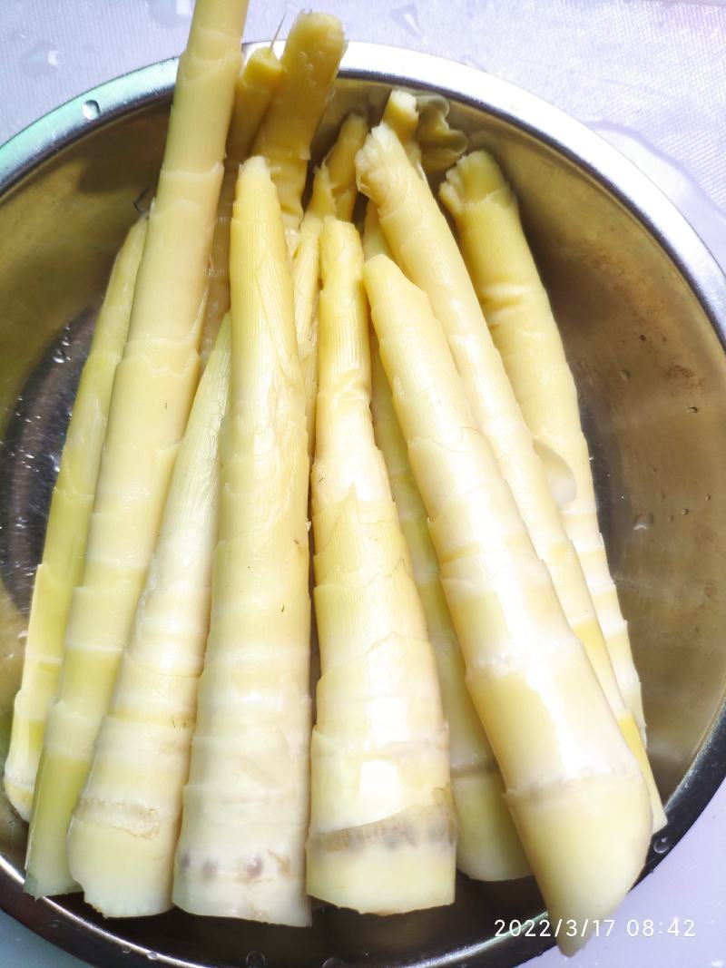 雷竹笋种苗【细叶白黄肉型】欢迎选购。
