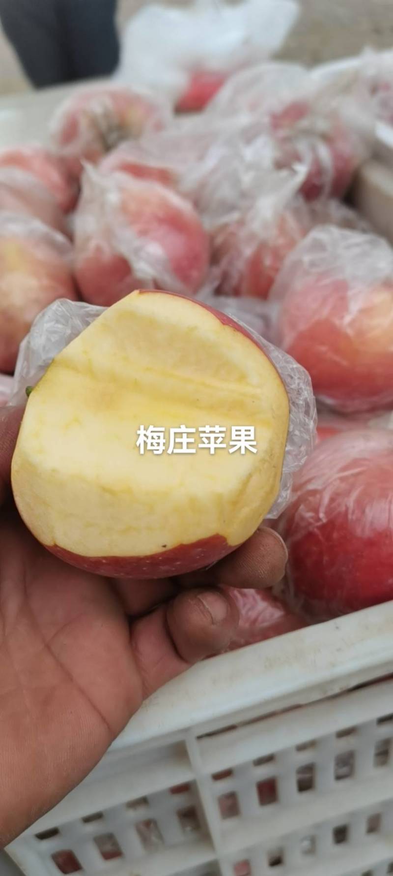 家乡特产隆红蜜，一手货源