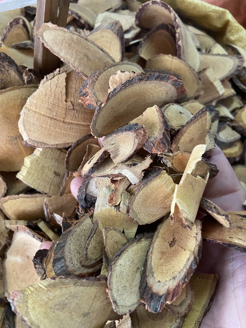 野生药材红穿破石状入石红川