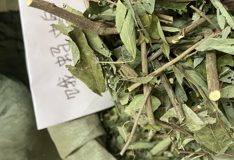中草药小槐花饿蚂蝗饿蚂蟥抹草山蚂蝗