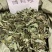 中草药小槐花饿蚂蝗饿蚂蟥抹草山蚂蝗