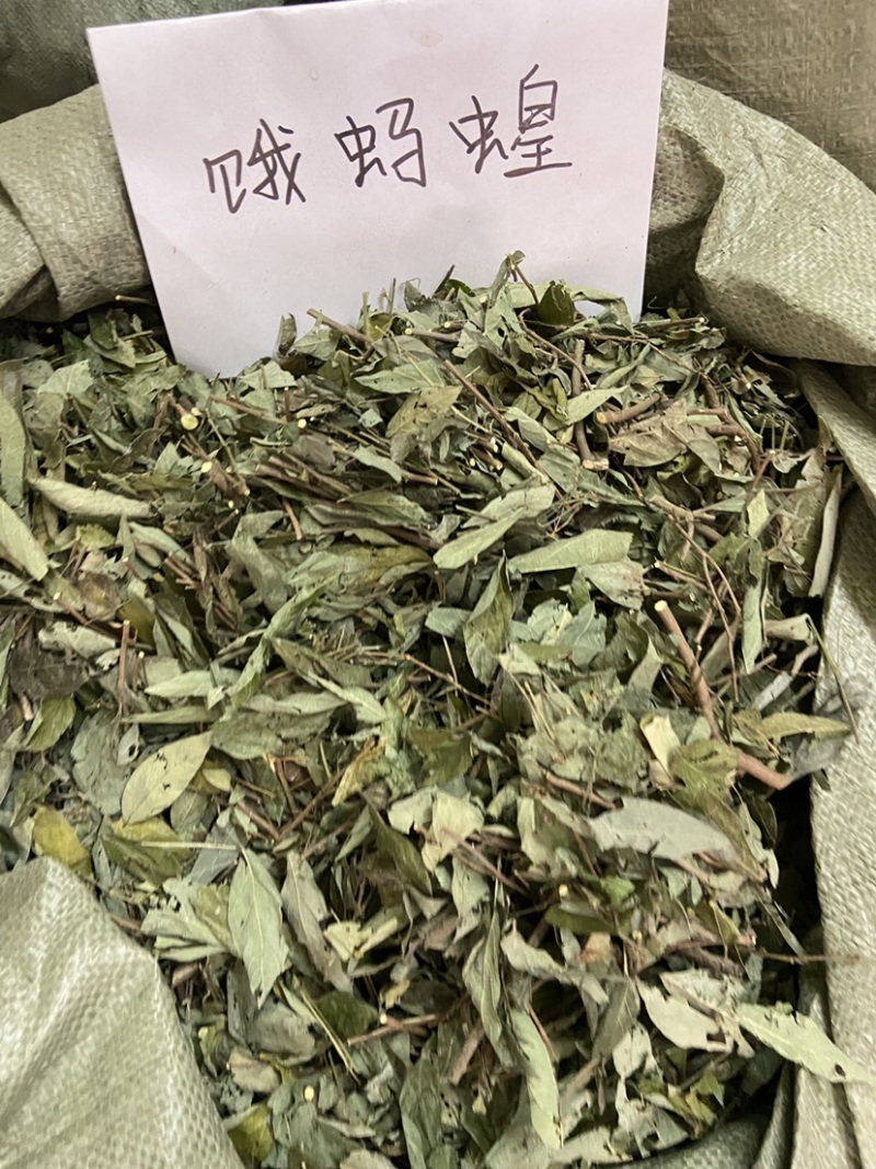中草药小槐花饿蚂蝗饿蚂蟥抹草山蚂蝗