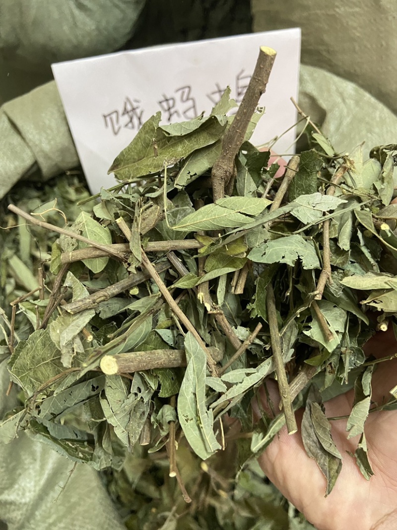 中草药小槐花饿蚂蝗饿蚂蟥抹草山蚂蝗