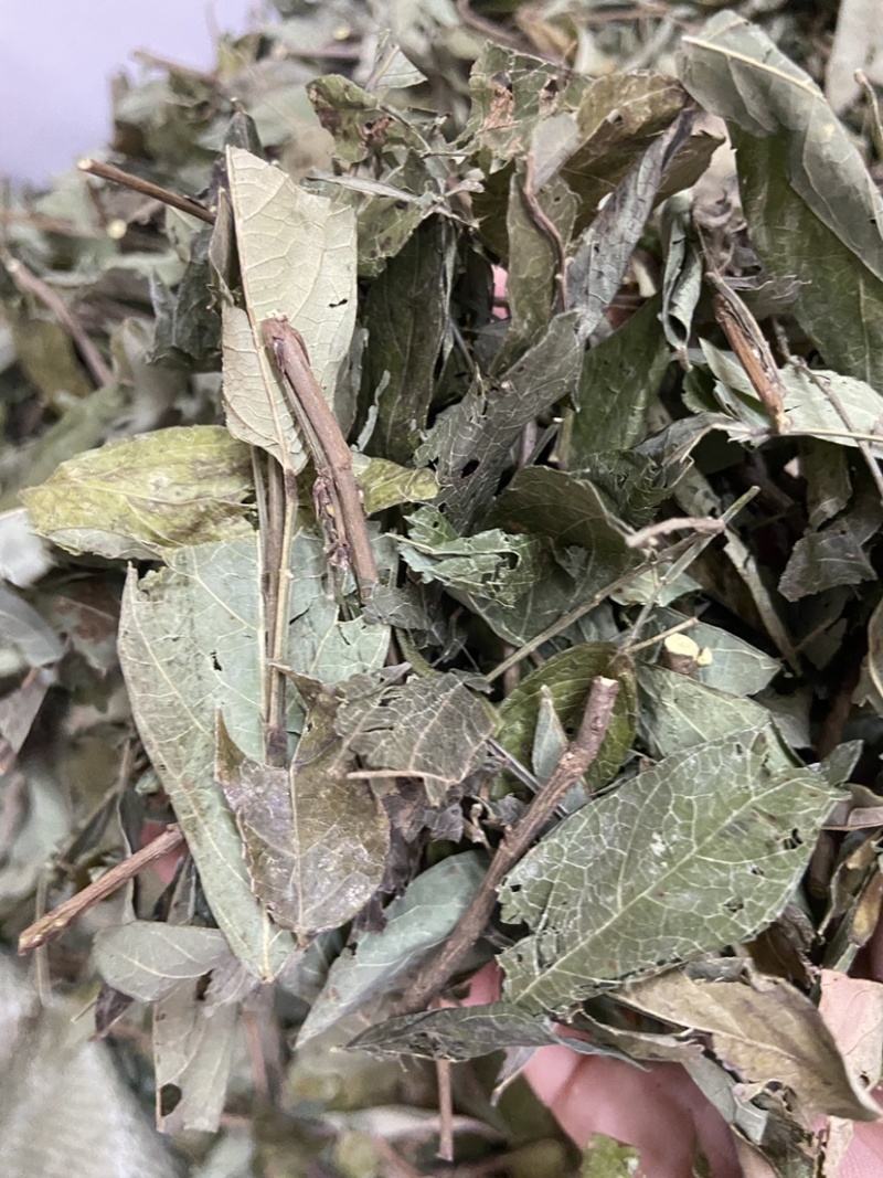 中草药小槐花饿蚂蝗饿蚂蟥抹草山蚂蝗