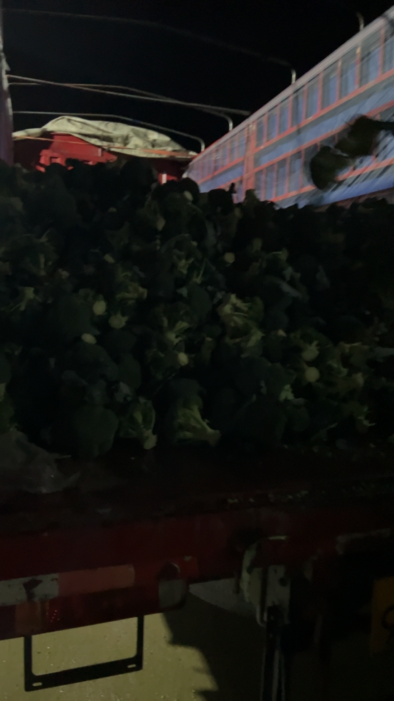 天门市，西兰花大量上市，自产自销，一手货源。