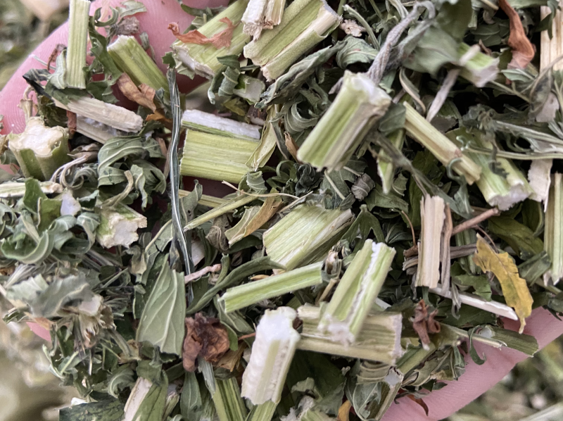 益母草野生益母草批发中药材