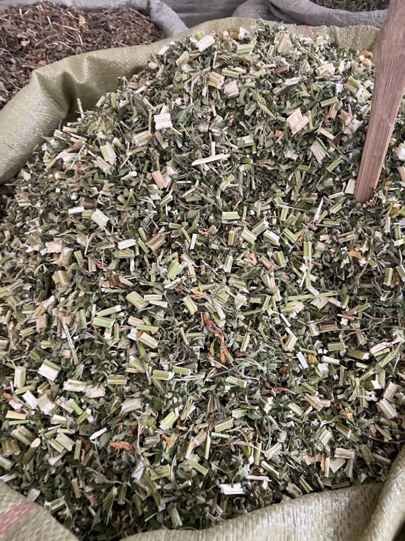 益母草野生益母草批发中药材