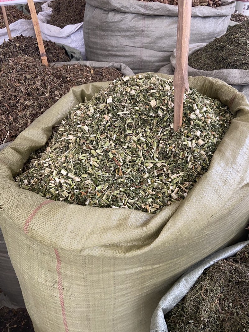 益母草野生益母草批发中药材