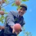 大凉山盐源嘎啦苹果大量上市中量大从优全国发货一件代发