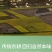 五常稻花香10斤新米批发东北2O亩产地直发当季新米包邮