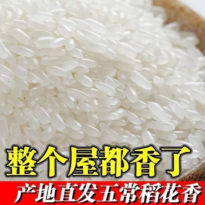 五常稻花香10斤新米批发东北2O亩产地直发当季新米包邮
