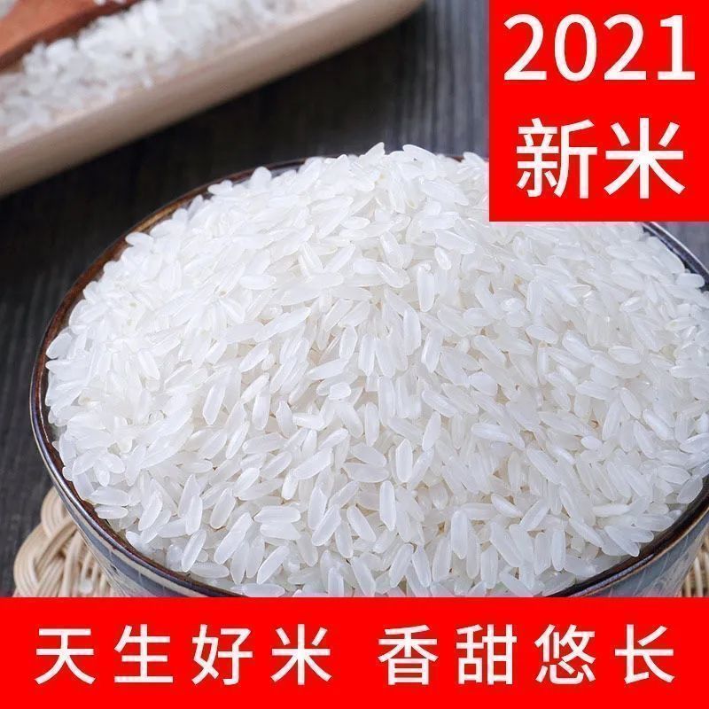 五常稻花香10斤新米批发东北2O亩产地直发当季新米包邮