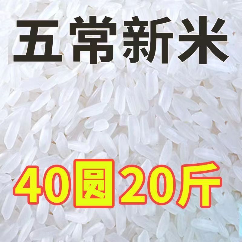 五常稻花香10斤新米批发东北2O亩产地直发当季新米包邮