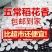 五常稻花香10斤新米批发东北2O亩产地直发当季新米包邮