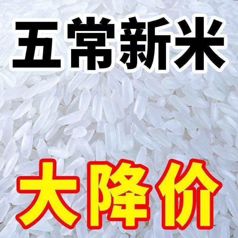 五常稻花香10斤新米批发东北2O亩产地直发当季新米包邮