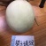 甜瓜种子碧玉珠3号甜瓜果圆形皮白色透绿肉绿色高糖优质香瓜
