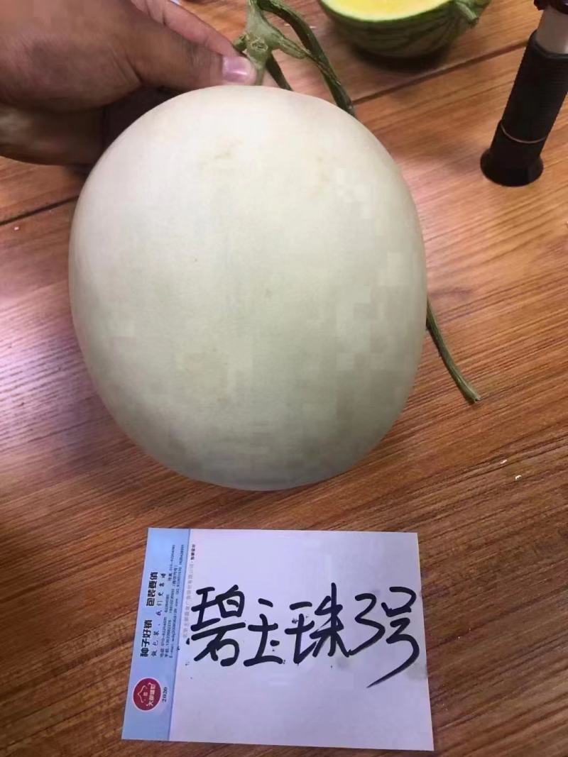甜瓜种子碧玉珠3号甜瓜果圆形皮白色透绿肉绿色高糖优质香瓜