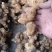 黄精，甜黄精干货鲜货都有。都是按客户要求发货