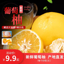 黄金葡萄柚瀑汁，平和县坂仔镇发货，可以批发、一件