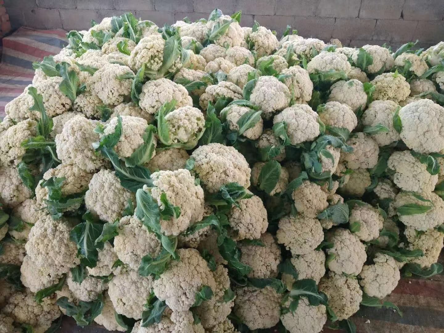 市场中的白花菜花摊位