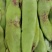 油豆角