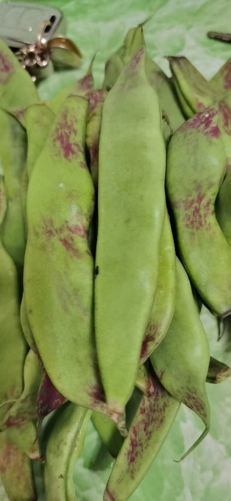 油豆角