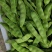 油豆角