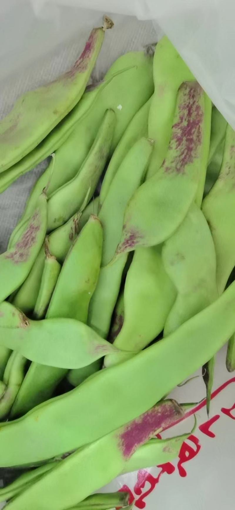 油豆角