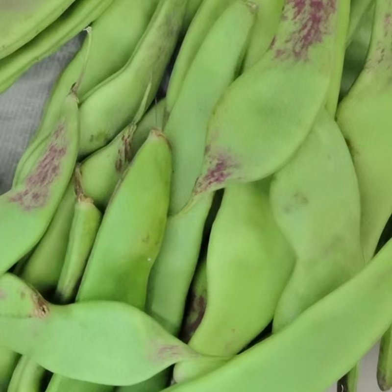 油豆角