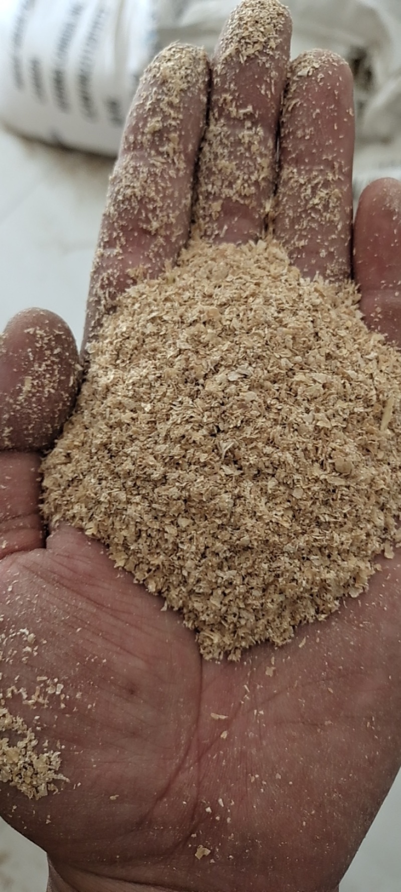 今日金沙河大片麸皮特价一车需要联系麸皮混合