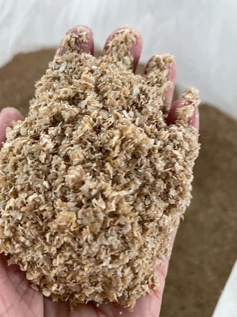 今日金沙河大片麸皮特价一车需要联系麸皮混合