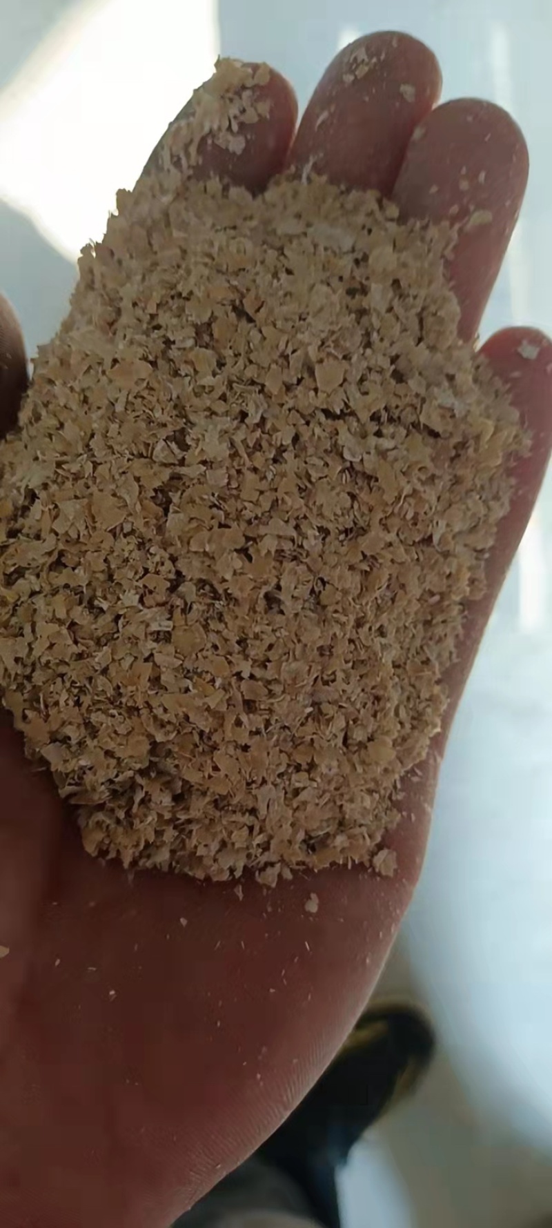 今日金沙河大片麸皮特价一车需要联系麸皮混合