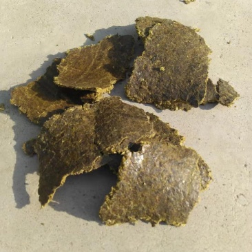 厂家常年直销棉籽饼蓖麻饼蔬菜水果专用饼肥，有机质85个，