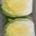 大白菜，心黄叶绿货源充足量大价优欢迎采购