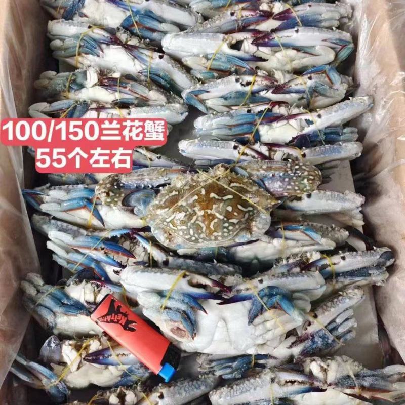 直销精品蟹兰花管肥管鲜价格美丽蟹