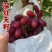 贝达根嫁接深红无籽葡萄苗，保纯度，保成活率
