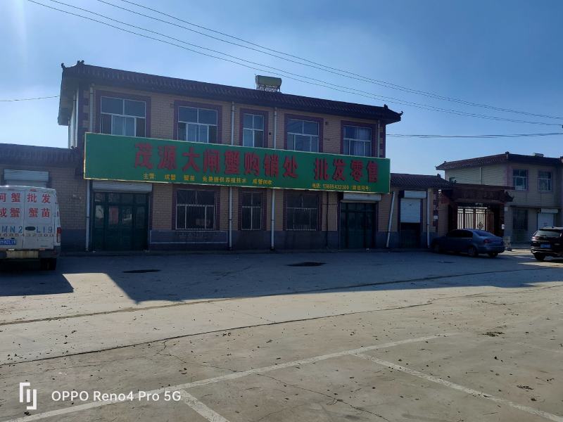 山东大闸蟹基地直供